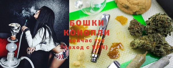 МДПВ Богородицк