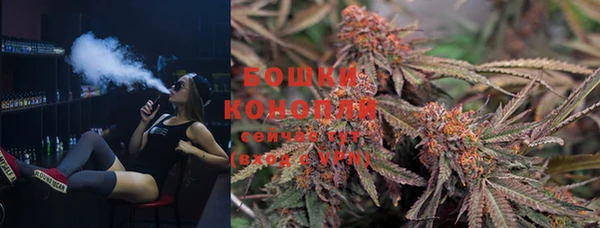 МДПВ Богородицк